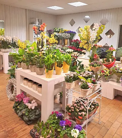 Kwiaciarnia Nowa Maranta